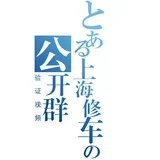 上海修车验证视频公开群