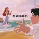 深圳老师八卦团