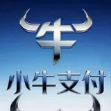 小牛支付总供需