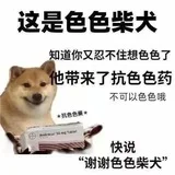 800神教报告