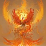 深圳凤吟桩机出击报告