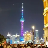 上海龙凤榜报告