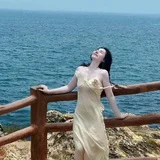 深圳北维维