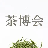 上Hai茶博会（导航）