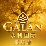 永利国际中专频道