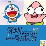 深圳粤B修车报告