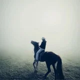 小花的朋友圈