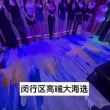 上海闵行海选修车4T总群